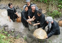 Tour Du Lịch Miền Tây Tát Mương Bắt Cá 1 Ngày